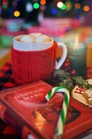 Weihnachtliche Buchvorstellung in Rudersberg