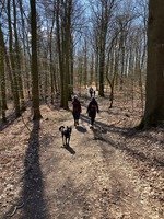 4. Literarische Wanderung