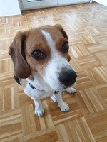 Lucy