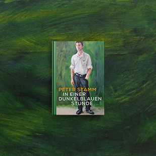 Peter Stamm - In einer dunkelblauen Stunde
