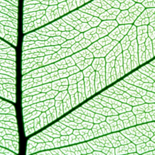 Mai 2022 - Popul&auml;re Naturwissenschaften
