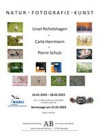 NATUR FOTOGRAFIE KUNST