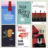 Thomas Zehender stellt seinen Verlag danube books (Ulm) vor