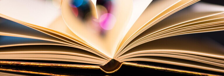 Sie suchen noch ein Geschenk für einen Bücherwurm?
Dann verschenken Sie einfach unser Bücher-Abo. Sie legen Genre und den Preisrahmen fest und liefern in einem festgelegten Rhythmus in Ihrem Auftrag ein Buch an den oder die Beschenkte. 
Sprechen Sie uns an!