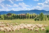 Jubiläumsfeier mit Verkostung und Gewinnspiel von Fattoria La Vialla