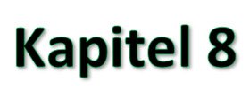 Logo von 'Kapitel 8'