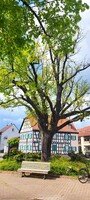 LESEN MIT KINDERN - Königstädter Gute-Seiten-Entdecker