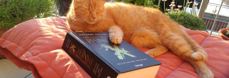 Penny liebt die Panem Bücher und Filme, da musste sie natürlich auch direkt den neuen 4. Teil lesen. Ihr Urteil: es war großartig, mit überraschenden Wendungen und eine hervorragende Idee Coriolanus Snow als Hauptfigur zu besetzen!!